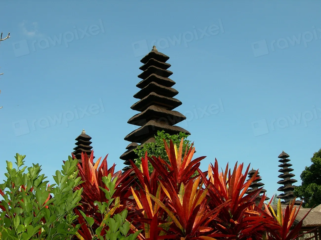 A tiered Balinese temple tower above red foliage