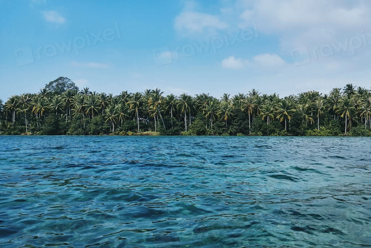A wooded island across calm water