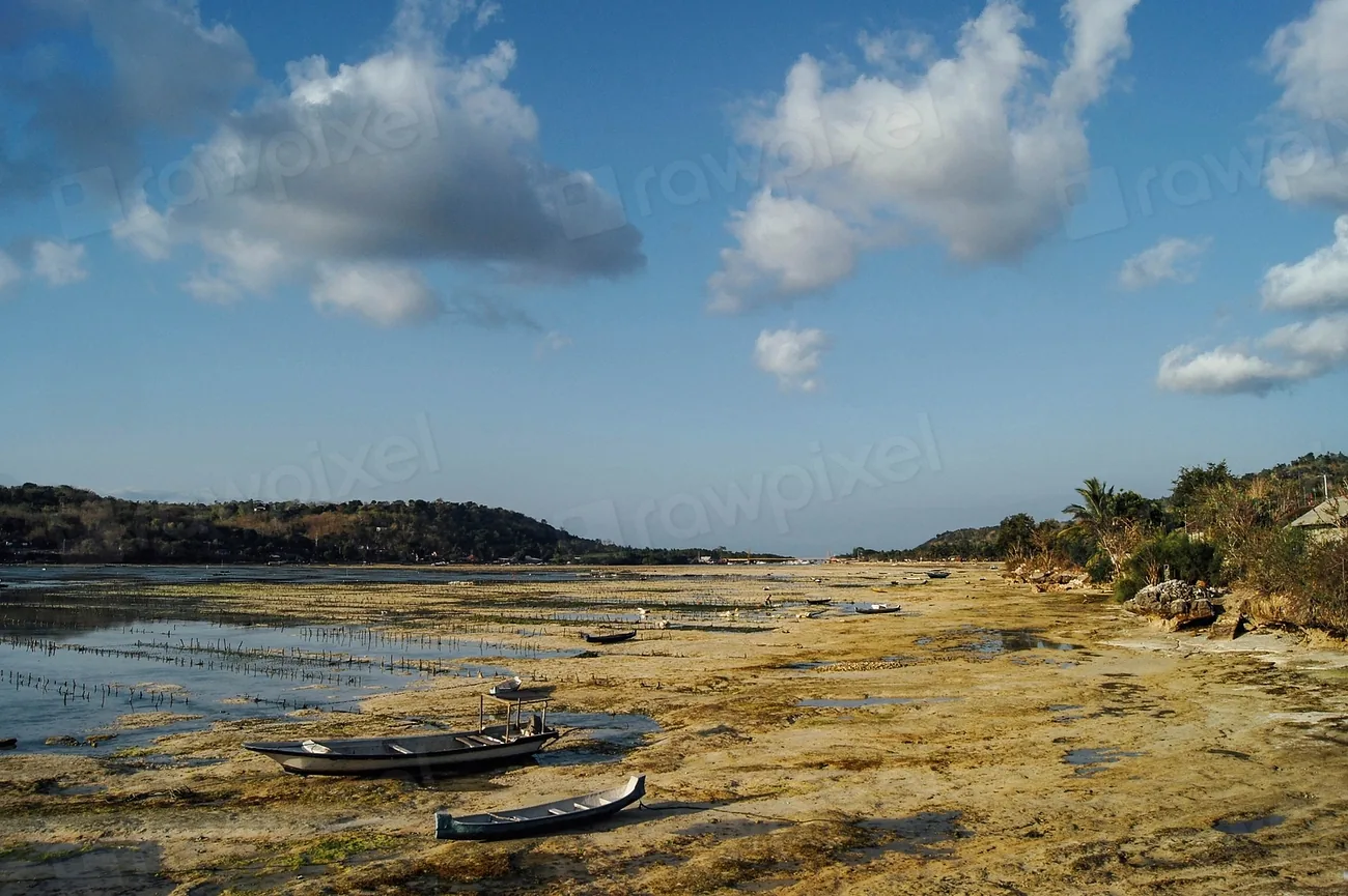 Fishing boats drawn up on a beach at low tide