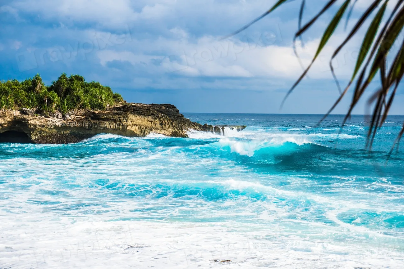 Turquoise surf along a palm-fringed shore